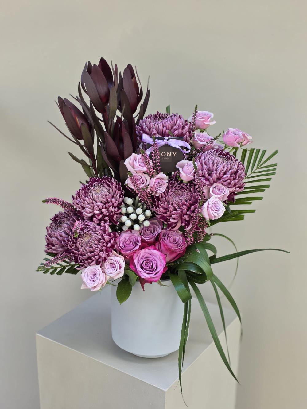 Velvet Plum Melody 